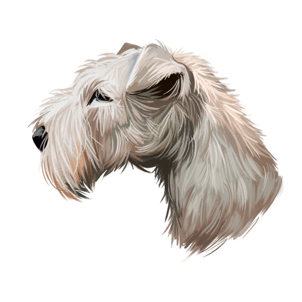 肖像湖和小猎犬宠物数字艺术插图。来自英国湖区的纯种哺乳动物。家养宠物，长毛，友好的狗。粉红色背景上孤立的小狗。图片下载