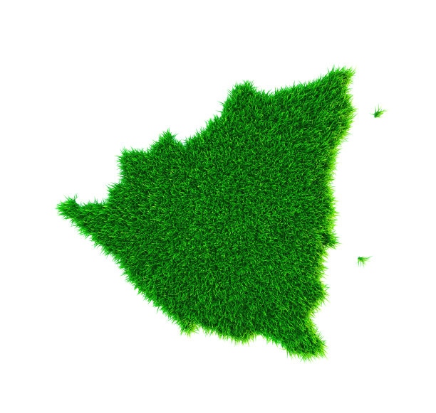 尼加拉瓜的草地图，在白色上孤立图片下载