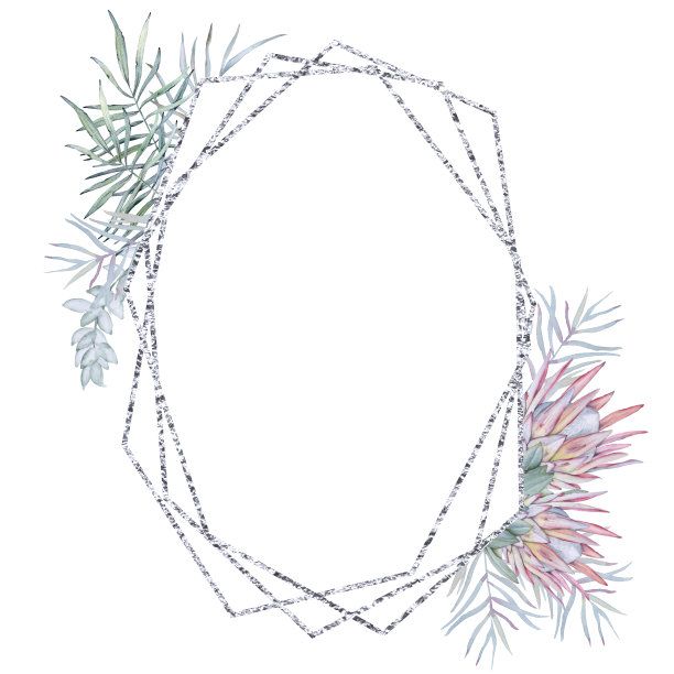 以澳大利亚的自然元素为框架。孤立在白色背景上。图片下载