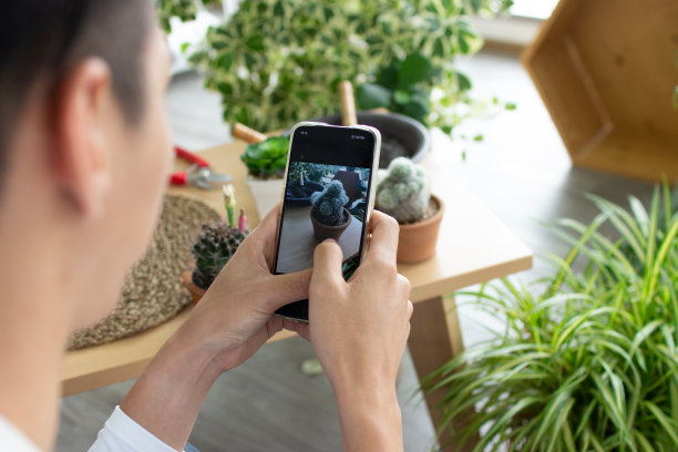 亚洲企业家用智能手机拍摄仙人掌。图片下载
