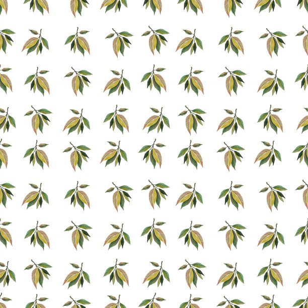 绿叶水彩无缝图案。植物绘画插图孤立在白色的背景。夏季手绘插画。化妆品、包装、纺织品、卡片、装饰用草药图片下载