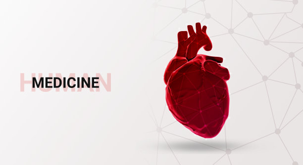 在白色背景上分离的人类心脏图片下载