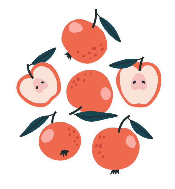 矢量图的红苹果和一半的苹果。手绘。图片下载