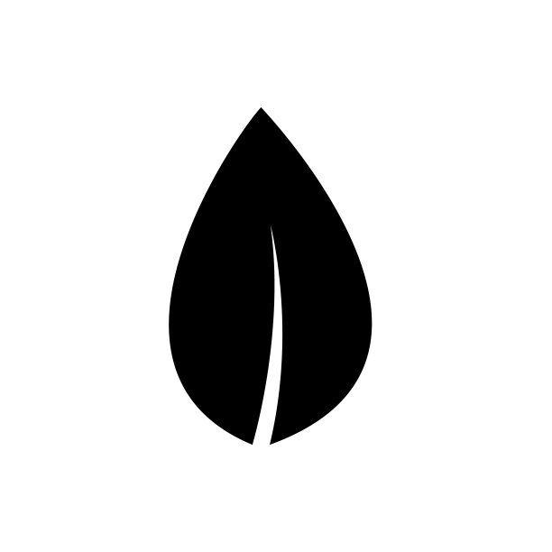 叶子图标，生态叶子孤立在白色背景图片下载