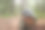 登上霍维拉山的顶峰。图片下载