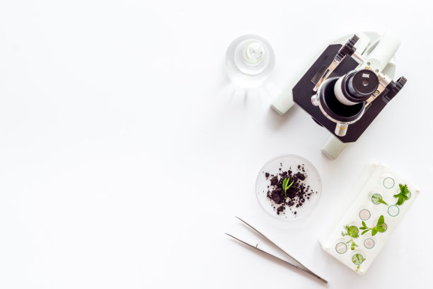 生物化学实验室用显微镜研究植物的生物学家图片下载