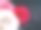 玫瑰和钻石图片下载