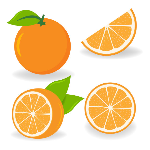 橙色象征。用不同的方式切橘子片。孤立的矢量图。图片下载
