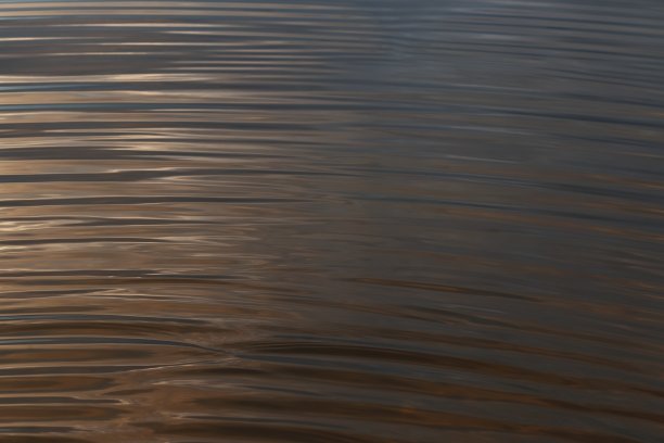 湖面上泛起涟漪。图片下载