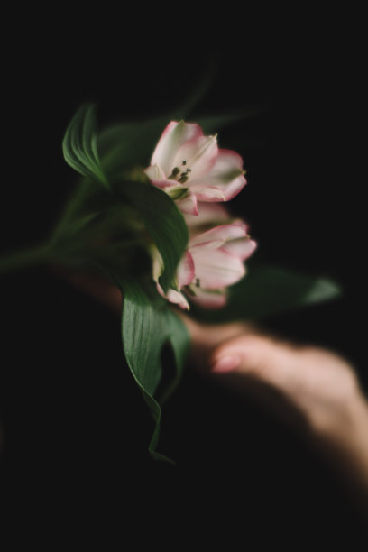 美丽女孩的身体细节，时尚和艺术，彩色照片拍摄图片下载