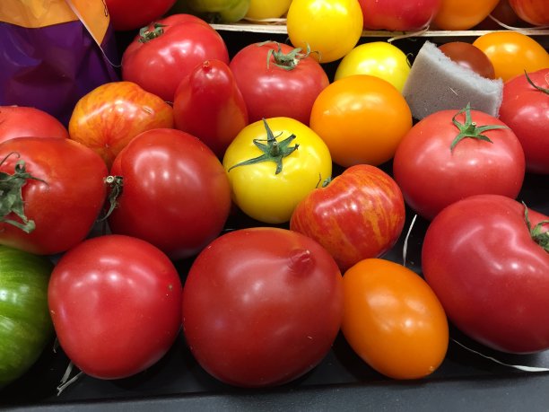 传家宝新鲜的西红柿图片下载