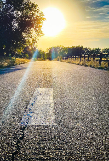 《路上的夏末》图片下载