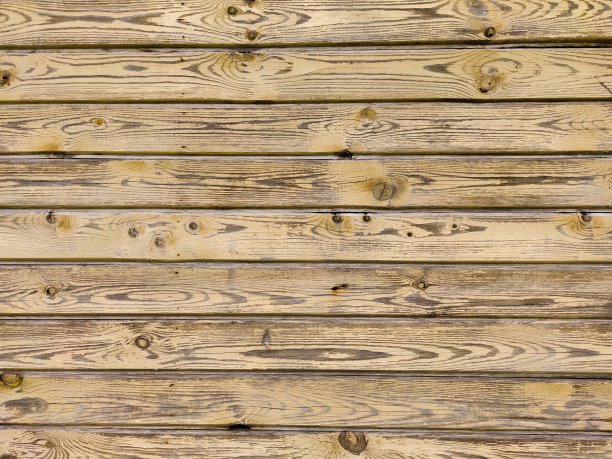 老木的背景。图片下载