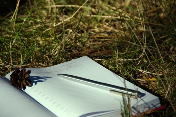 草地上的钢笔和日记图片下载