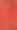 收获成熟的越橘的背景图片下载
