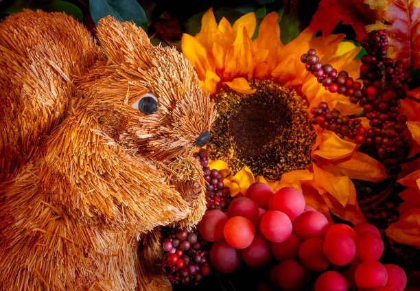 向日葵、葡萄和松鼠装满了装饰好的感恩节壁炉架。图片下载