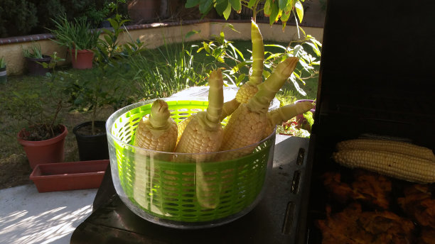 烤玉米图片下载