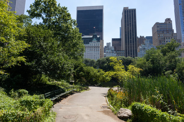 在纽约市的中央公园，在夏天沿着池塘的空路径，可以看到摩天大楼图片下载