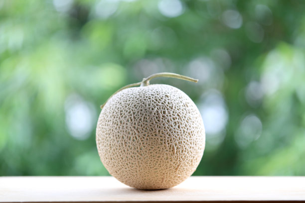 大西瓜图片下载