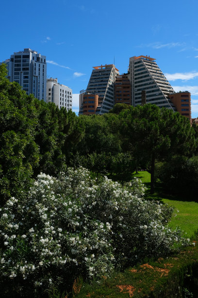 巴伦西亚市图片下载