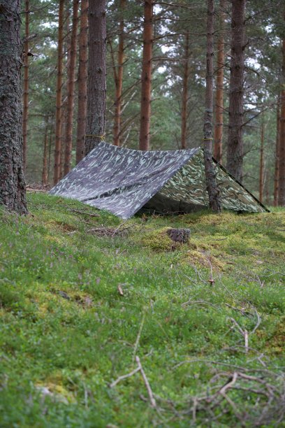 露营,他是个骗子图片下载