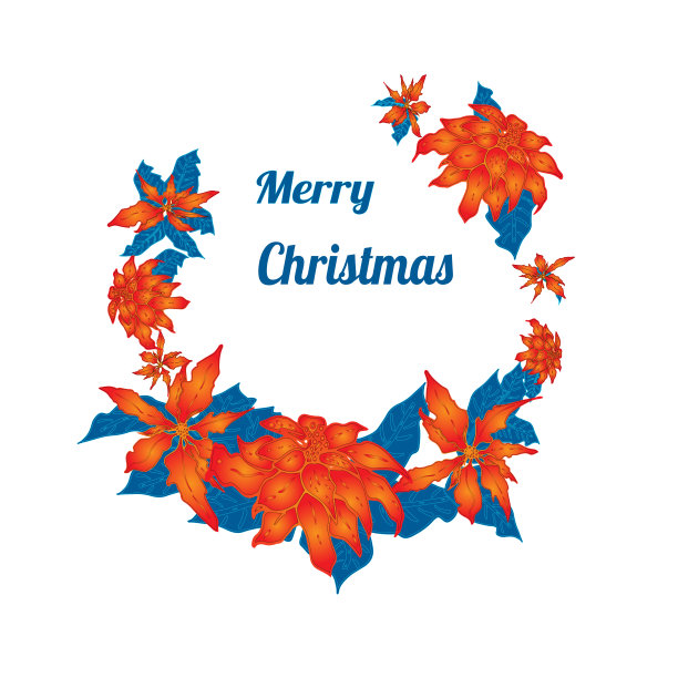 圣诞快乐，手绘花环。圣诞星。贺卡设计元素。红色和白色的。手绘的红色一品红。图片下载