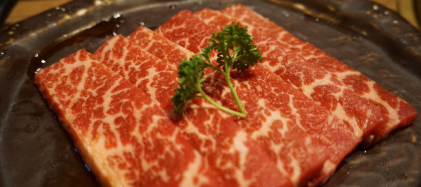 日本烤肉的大理石短肋图片下载