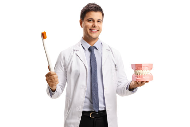 年轻的男性牙医拿着一个下巴模型和一个大牙刷图片下载