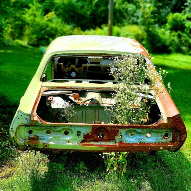 废旧汽车变成了艺术品图片下载