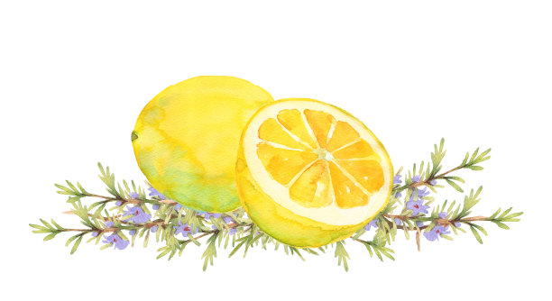 柠檬和迷迭香图片下载