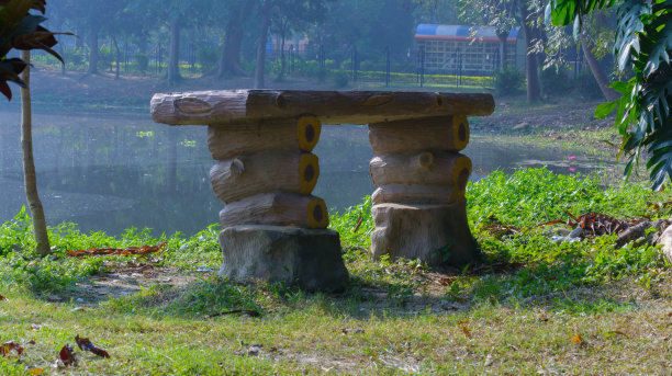 这张照片拍摄于湖边的一个公园里图片下载