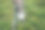 满满一桶从森林里摘来的新鲜覆盆子图片下载