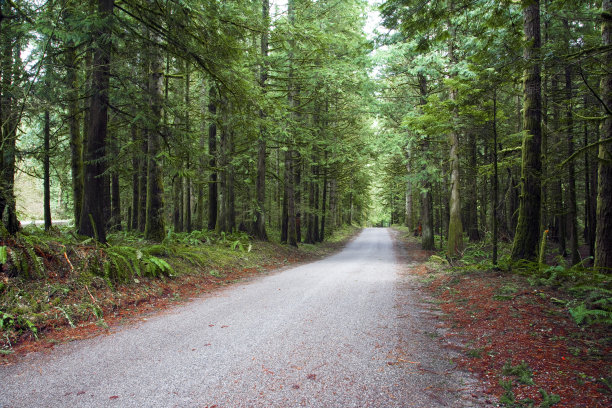 公路旅行。图片下载