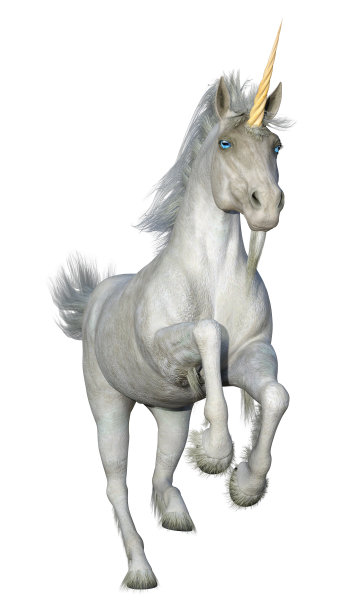 3D渲染白色独角兽在白色图片下载