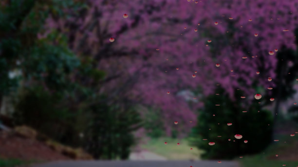 粉红色在隧道里流动图片下载