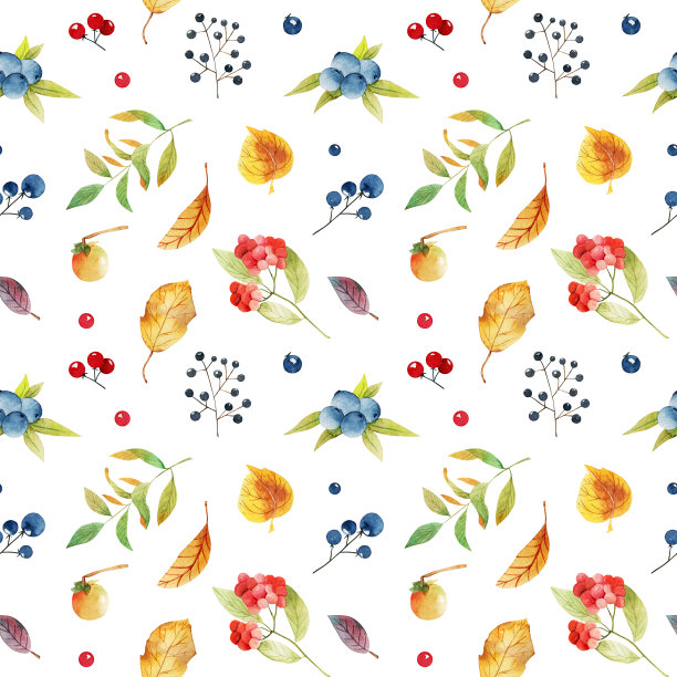 无缝图案的水彩秋叶和森林浆果;白色背景上的手绘插图图片下载
