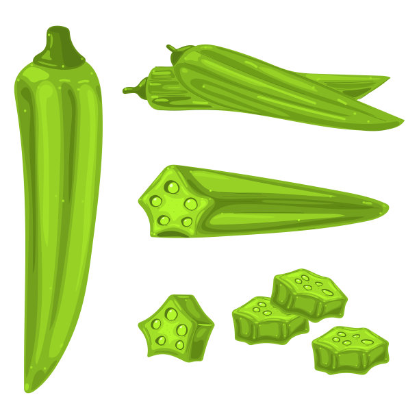 秋葵矢量卡通插图孤立在白色背景上。图片下载