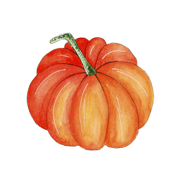 手绘南瓜水彩插画，秋秋元素。图片下载