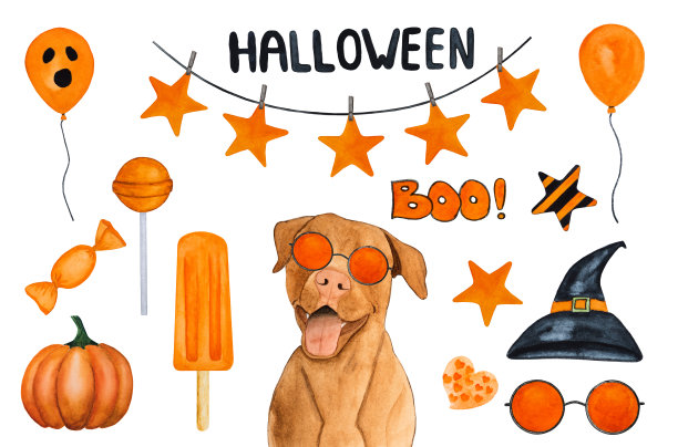 可爱，漂亮的宠物和万圣节装饰。特写镜头图片下载