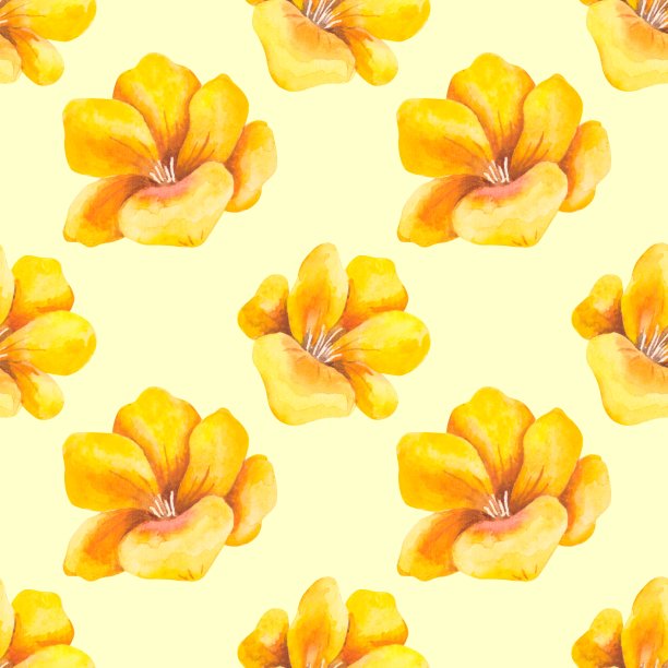 水彩无缝模式的黄色小苍兰花。图片下载