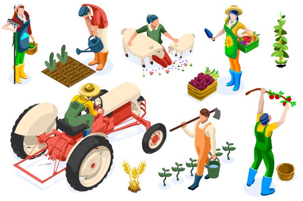 农场工人在种植或动物上的生产。在拖拉机上工作的有机农民，农民和水果。从事园艺工作的妇女收获花园里的水果。农业工人在植物上工作的农民图片下载