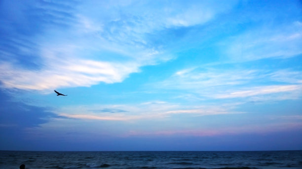 美丽多彩的沙滩开阔的天空，雄鹰在空中高高地飞翔图片下载