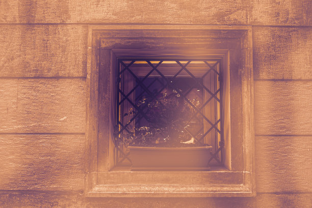 美观、功能和性能图片下载