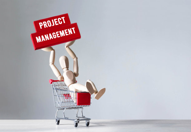 木人抱着木块字项目管理、概念图片下载