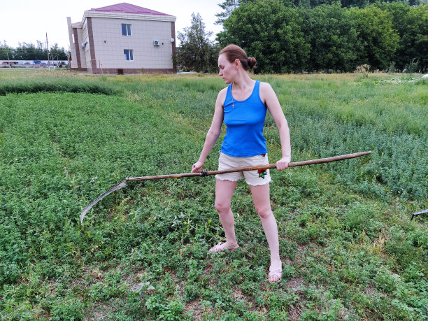 年轻女子在乡下割草图片下载