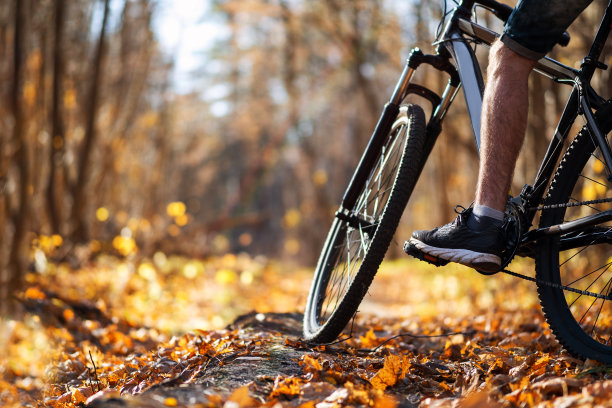 在温暖的秋日森林里，一名男子骑着自行车。积极的生活方式图片下载