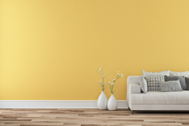 优雅的客厅与白色沙发部分视图-彩色墙壁背景库存照片图片下载