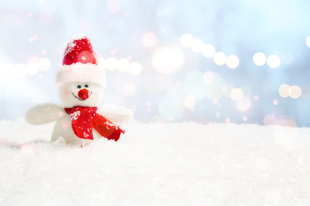 快乐的雪人在冬天为你的圣诞风光做装饰图片下载