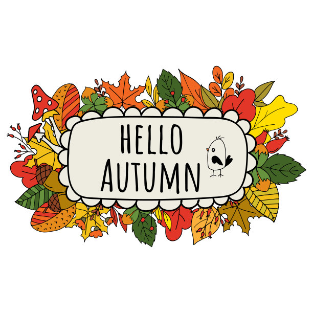 白色背景上的秋叶和蘑菇。图片下载