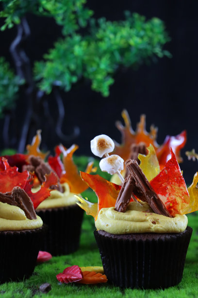 这是一组自制巧克力纸杯蛋糕的图片，上面覆盖着黄色的管状糖霜巧克力薄片，橙色的煮过的甜火焰和棉花糖，黑色的纸蛋糕盒，树，蓝天和绿草的背景，聚焦于前景图片下载
